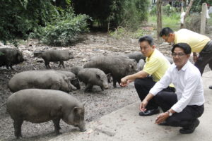 ข่าวอยุธยา
