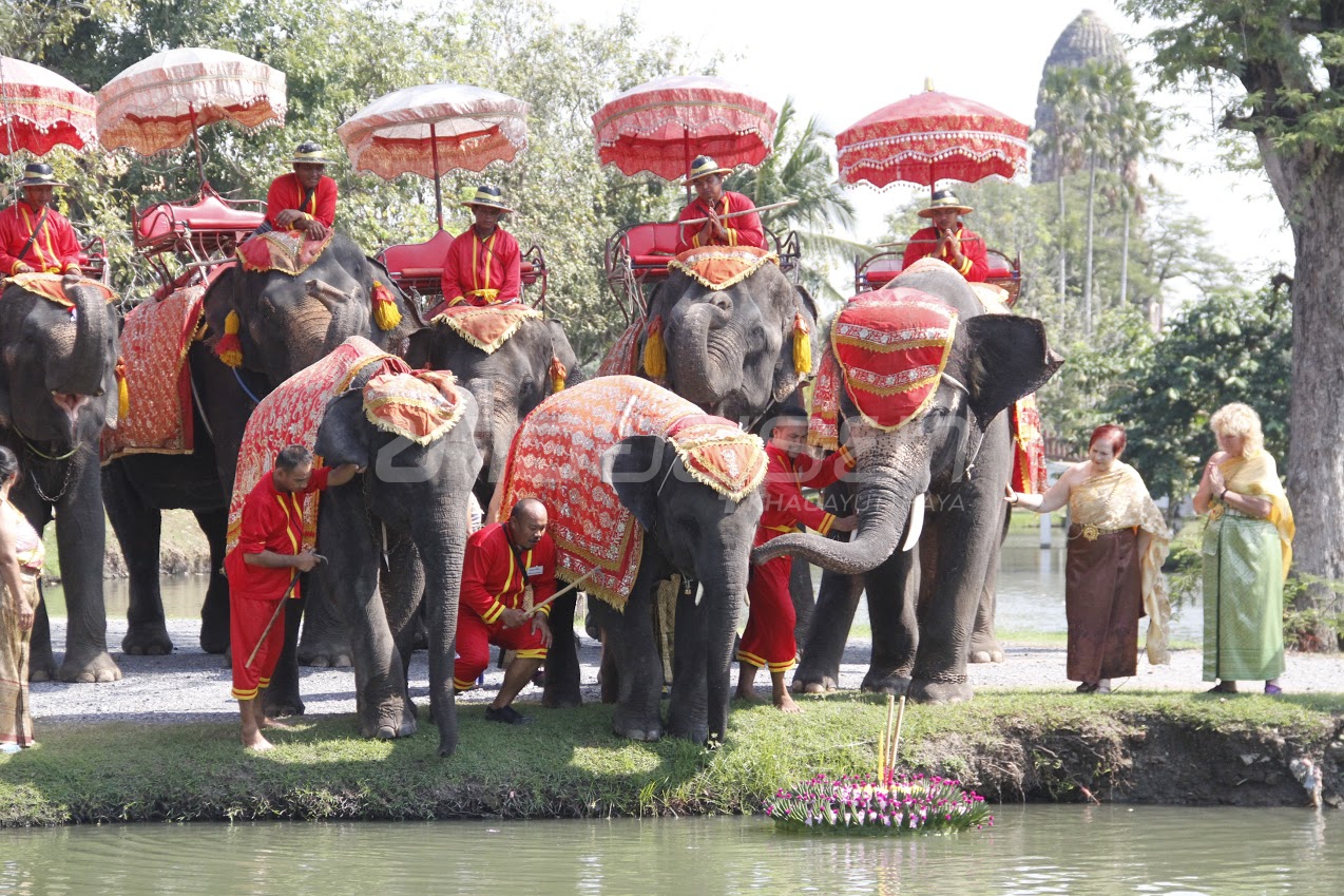 ช้างกรุงเก่าลอยกระทงเชิญชวนอาบน้ำเพ็ญประเพณีโบราณ