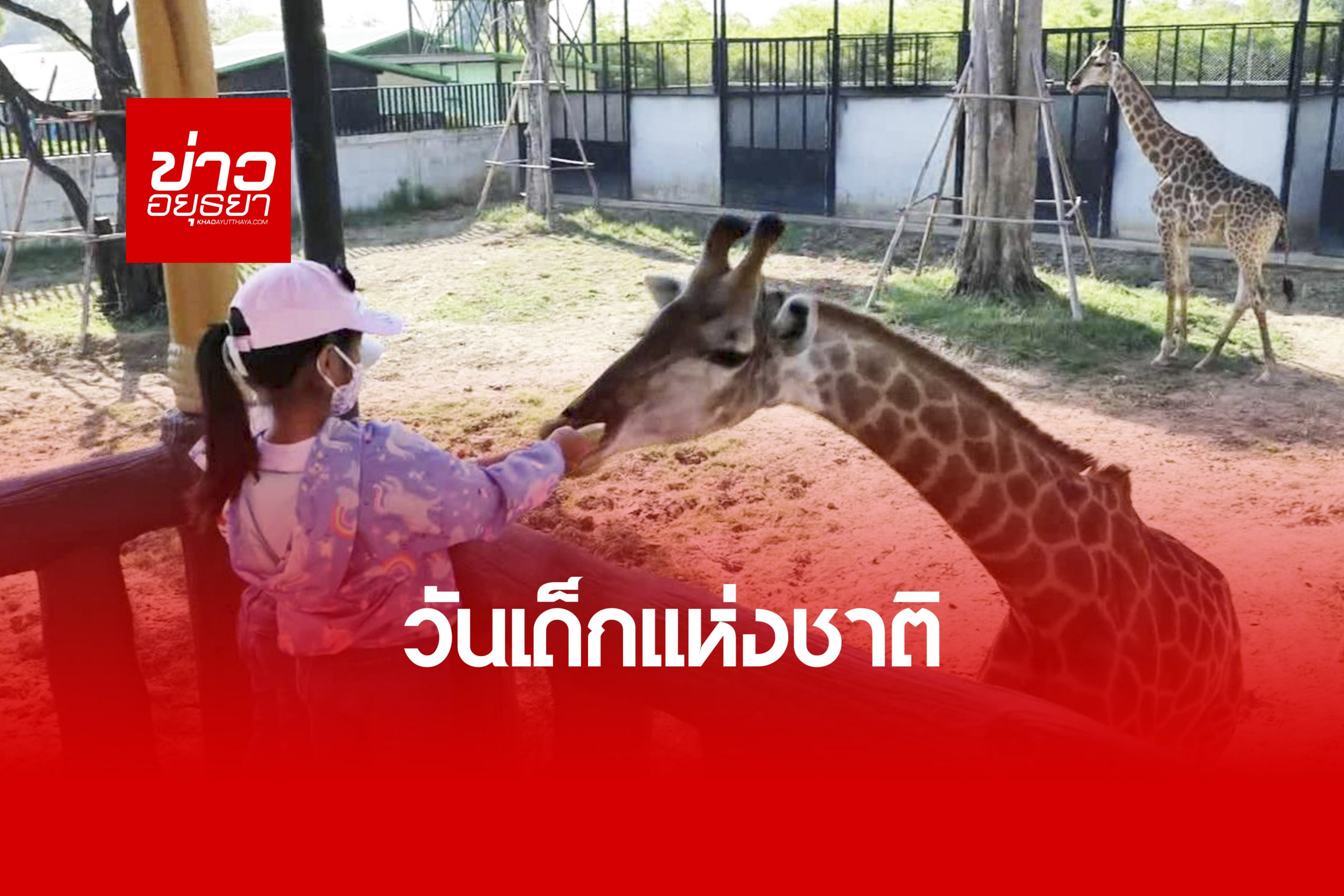 สวนสัตว์ ศรีอยุธยา ไลอัอนปาร์ค เปิดให้เด็กเข้าชมฟรีในวันเด็กแห่งชาติ เข้มป้องกันโควิด19