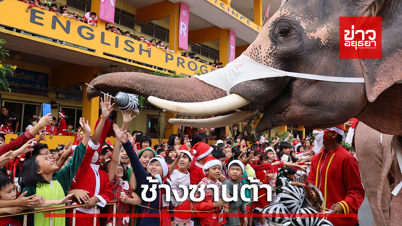 ช้างอยุธยา’ แปลงโฉมเป็นซานตาคลอส ร่วมสร้างสุขรับวันคริสต์มาส แก่เด็กนักเรียน
