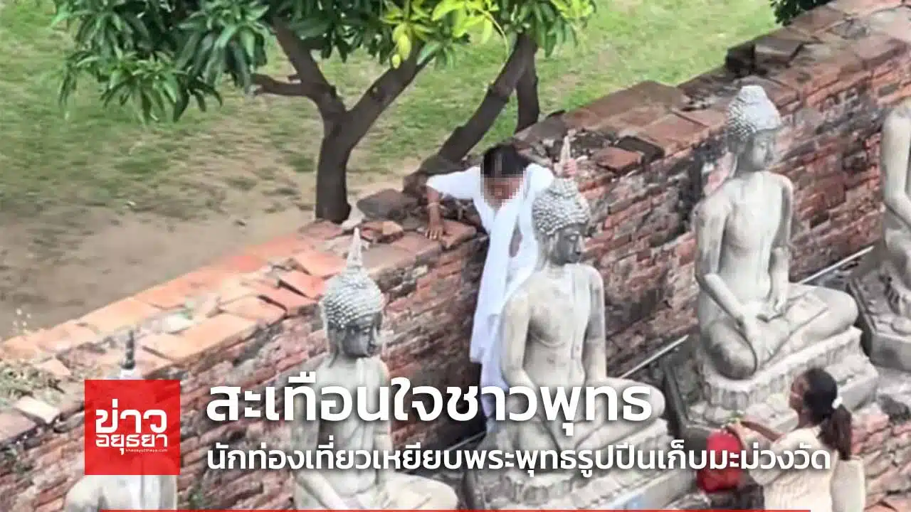 สะเทือนใจชาวพุทธ นักท่องเที่ยวเหยียบพระพุทธรูปปีนเก็บมะม่วงวัด