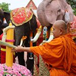 อยุธยาหล่อเทียนจำนำพรรษาปฐมฤกษ์ ช้างร่วมหล่อเทียน-ถวายเทียน พระอาจารย์แดง พระเกจิอาจารย์ชื่อดัง