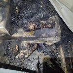 ไฟไหม้บ้าน 2 หลัง ชุมชนต้นสะตือสุดสลด คลอกแมว 24 ตัว เจ้าของ พยายามช่วยไม่ทัน