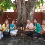 แชร์สนั่น! วัดกัมพูชาสร้างเศียรพระในต้นโพธิ์ เลียนแบบโบราณสถานวัดมหาธาตุ เผยปูนบริเวณฐานและรากไม้ยังดูใหม่ๆ ไม่แห้งดี