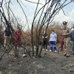 พบ โครงกระดูกปริศนา ในป่าลึก โยงคนหายเมื่อ 3 ปีก่อน