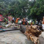 ฝนหนักลมแรง! พายุซัดอยุธยา กิ่งตะเคียนเกือบ 100 ปี โค่นทับศาลเจ้าแม่พังยับ
